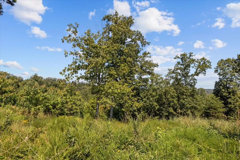 90 Float Dr Waverly, TN 37185