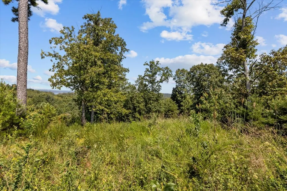 90 Float Dr Waverly, TN 37185