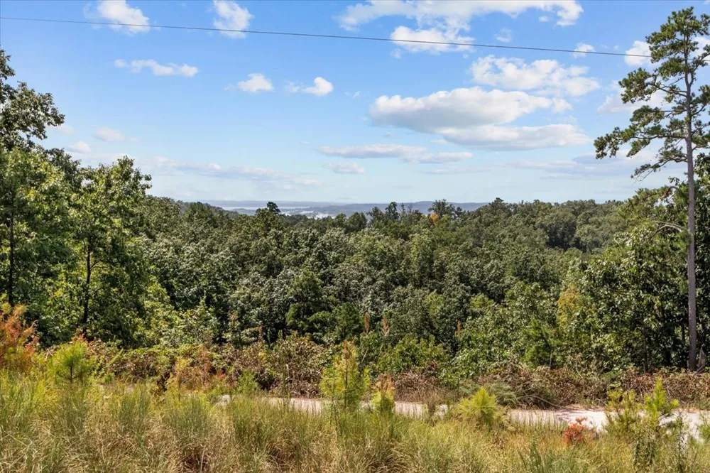 90 Float Dr Waverly, TN 37185