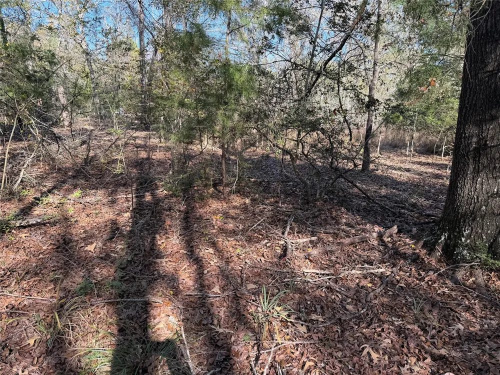 128 County Road 301 Tract 7 Fairfield, TX 75855