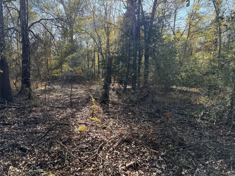 128 County Road 301 Tract 7 Fairfield, TX 75855