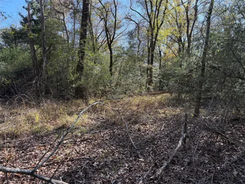 County Road 301 Tract 7