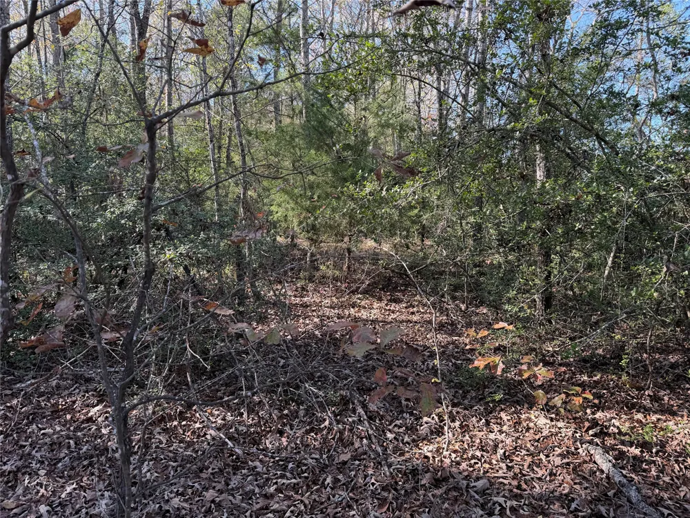 128 County Road 301 Tract 7 Fairfield, TX 75855