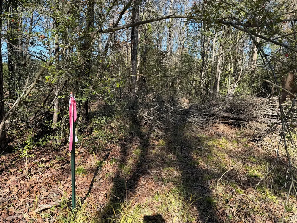 128 County Road 301 Tract 7 Fairfield, TX 75855