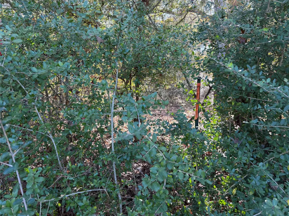 128 County Road 301 Tract 7 Fairfield, TX 75855