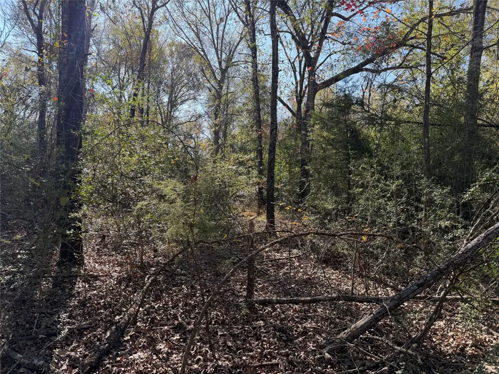 128 County Road 301 Tract 7 Fairfield, TX 75855
