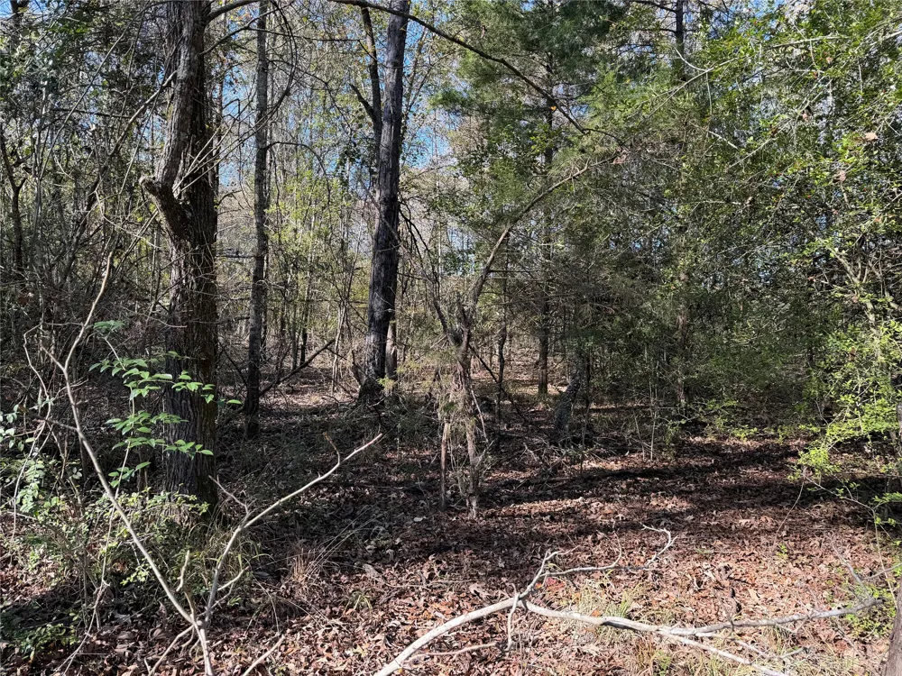 128 County Road 301 Tract 7 Fairfield, TX 75855