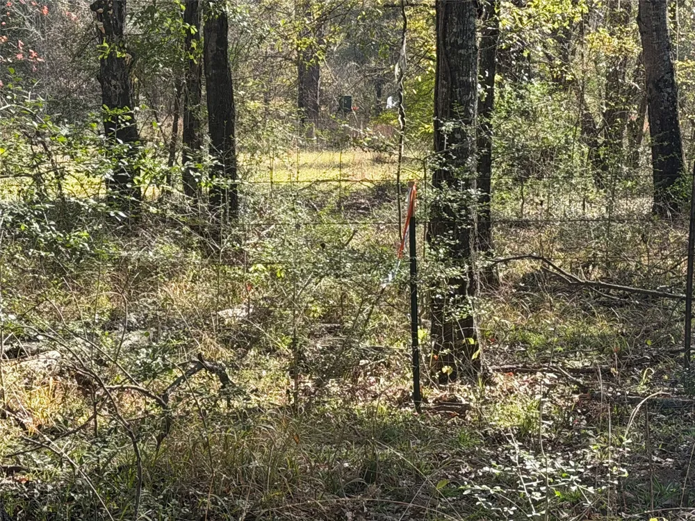128 County Road 301 Tract 7 Fairfield, TX 75855