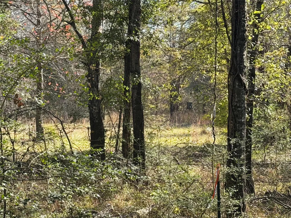 128 County Road 301 Tract 7 Fairfield, TX 75855
