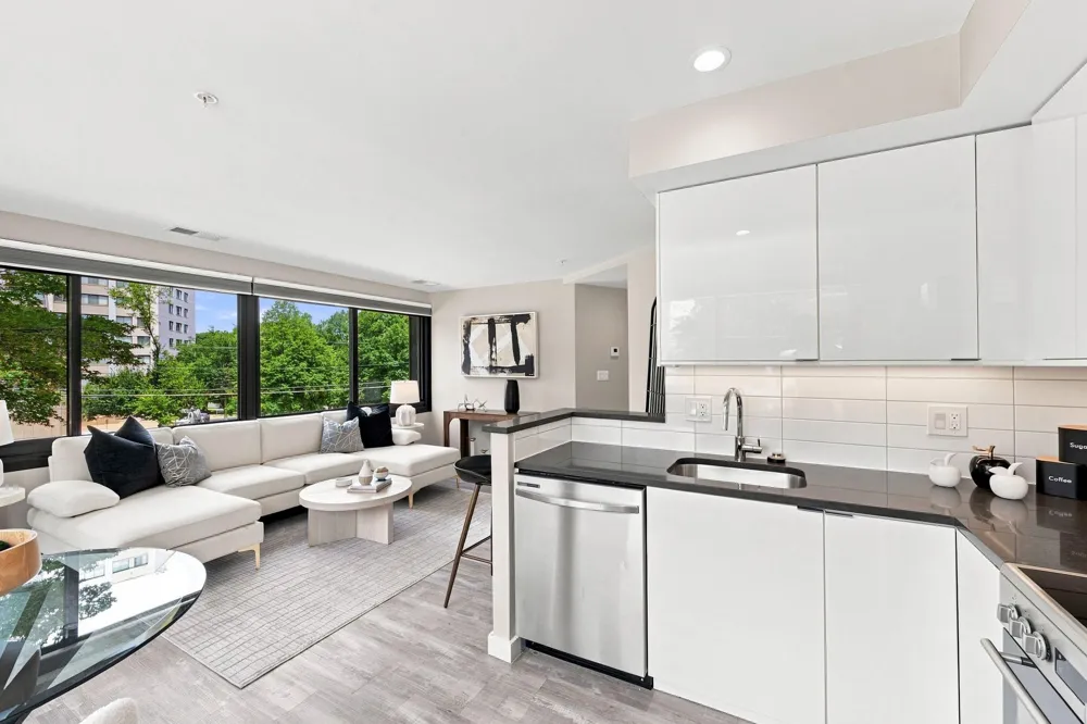 700 ROEDER ROAD #203 Silver Spring, MD 20910