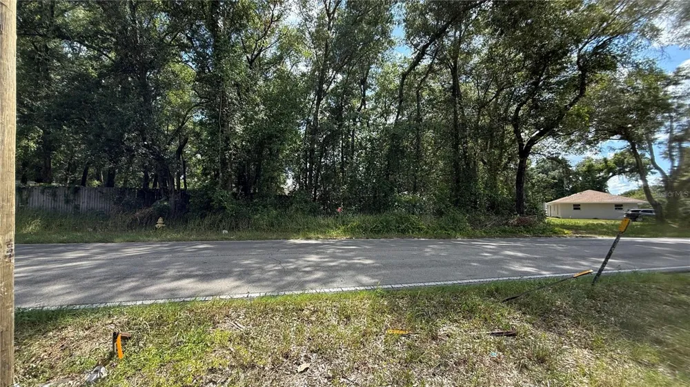 Lot #00 SE 62ND STREET Belleview, FL 34420