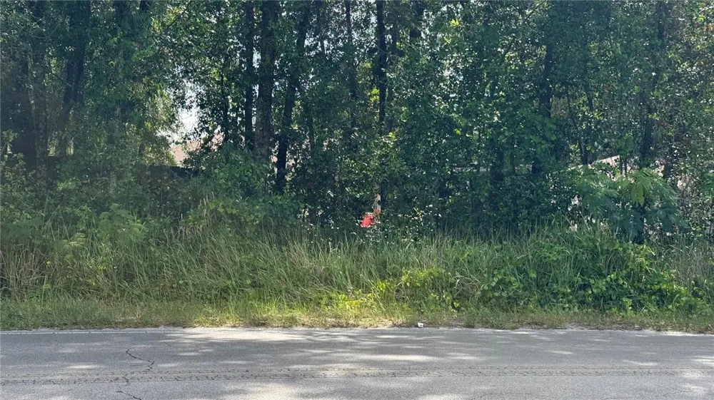 Lot #00 SE 62ND STREET Belleview, FL 34420