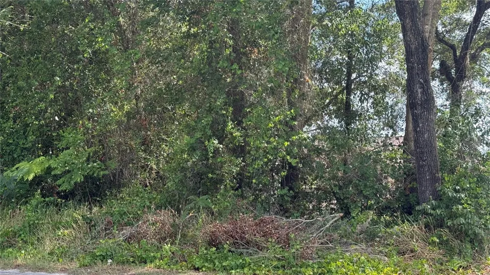 Lot #00 SE 62ND STREET Belleview, FL 34420