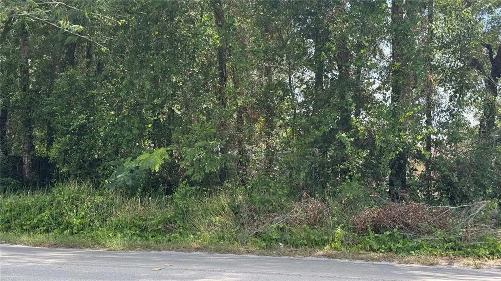 Lot #00 SE 62ND STREET Belleview, FL 34420