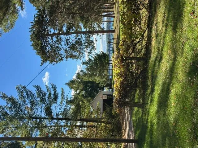 217 Newman Street Roscommon Township, MI 48653
