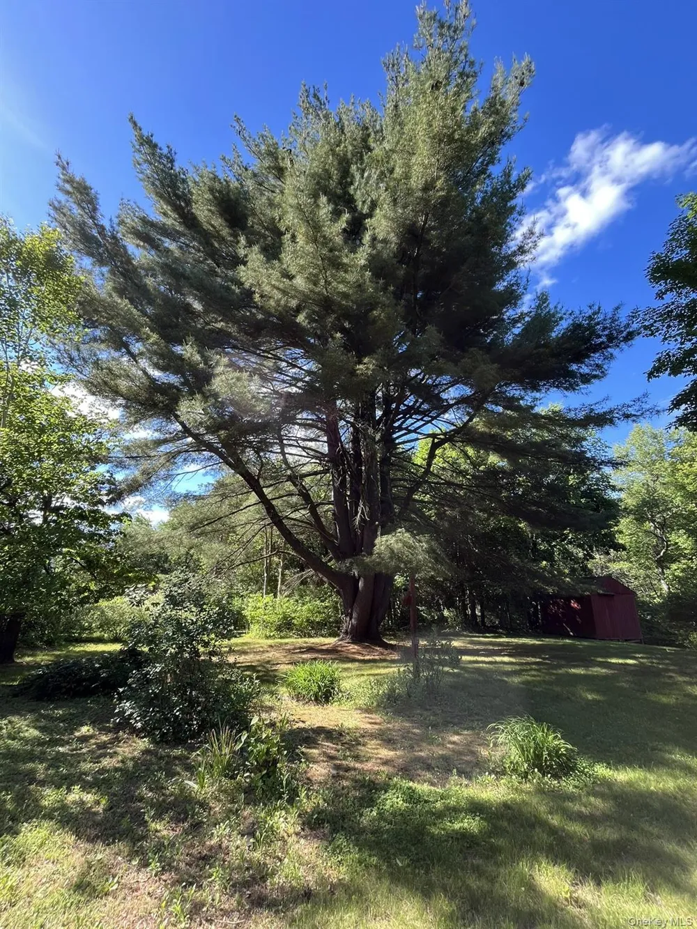 35 Hapeman Hill Road Red Hook, NY 12571