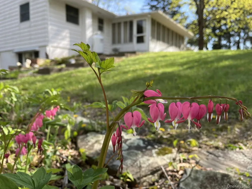 35 Hapeman Hill Road Red Hook, NY 12571