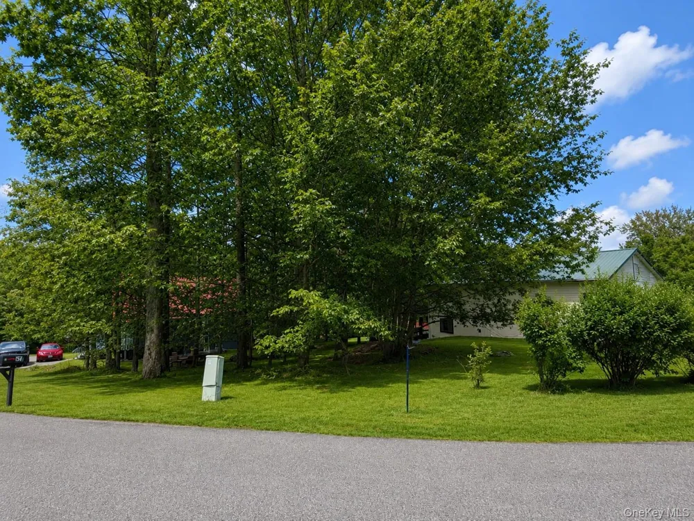 0 Timber Hill Lane South Fallsburg, NY 12779