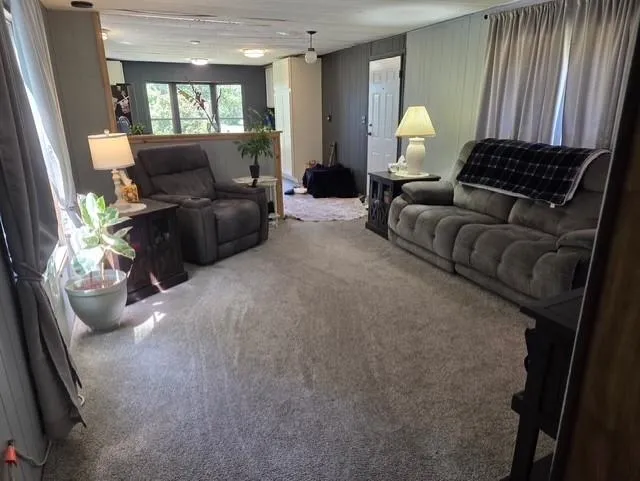 153 Derenzy Road Echo Township, MI 49622