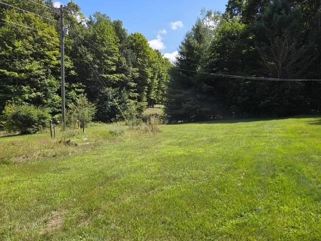 153 Derenzy Road Echo Township, MI 49622
