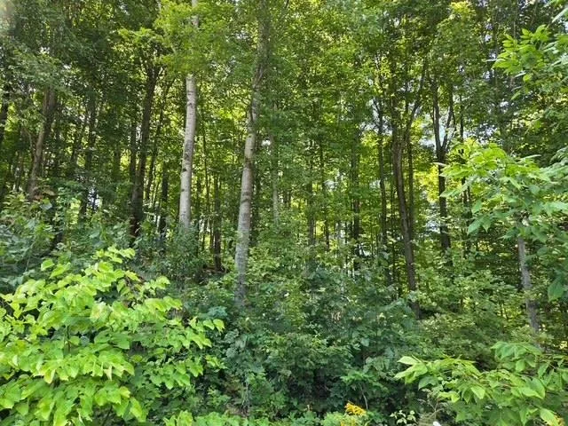 153 Derenzy Road Echo Township, MI 49622