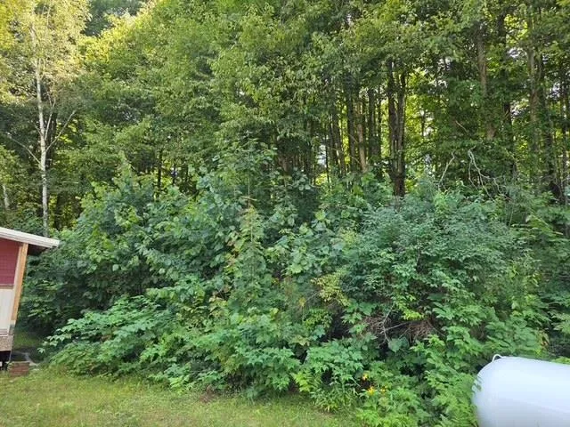 153 Derenzy Road Echo Township, MI 49622