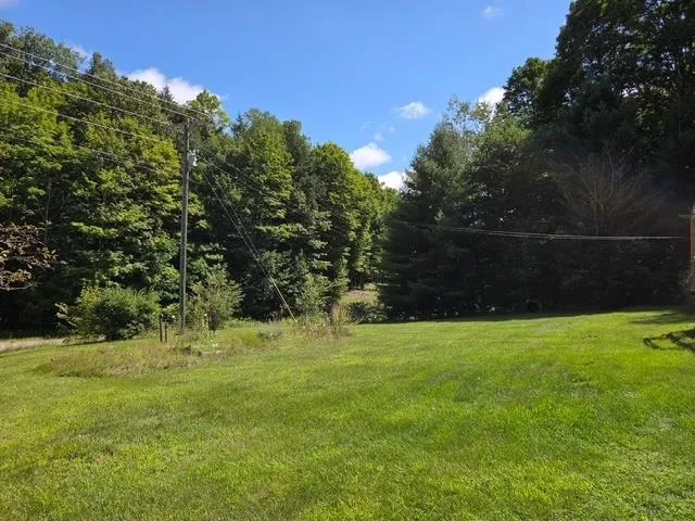 153 Derenzy Road Echo Township, MI 49622
