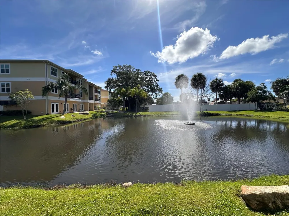 5041 ROYAL PALMS WAY #302 New Port Richey, FL 34652