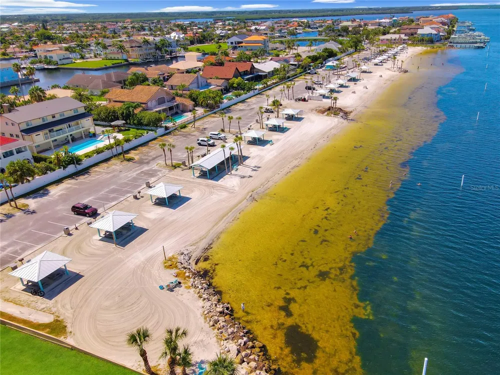 5041 ROYAL PALMS WAY #302 New Port Richey, FL 34652