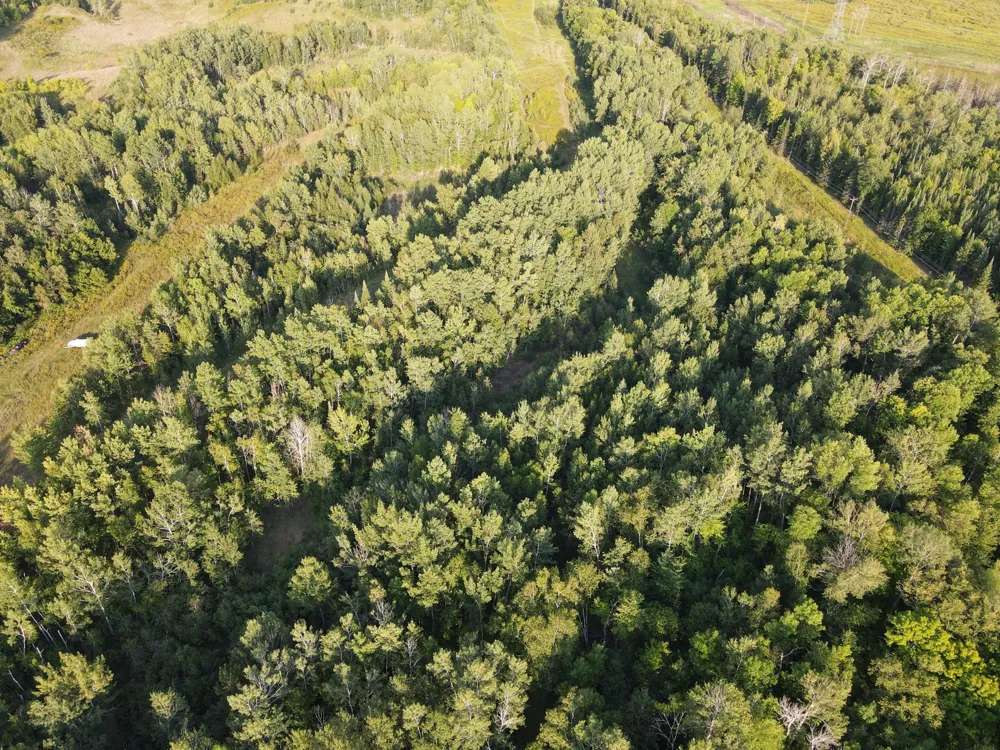 TBD Pincherry Rd Cohasset, MN 55721