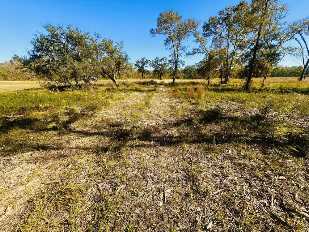 32002 Amberjack Drive Richwood, TX 77515