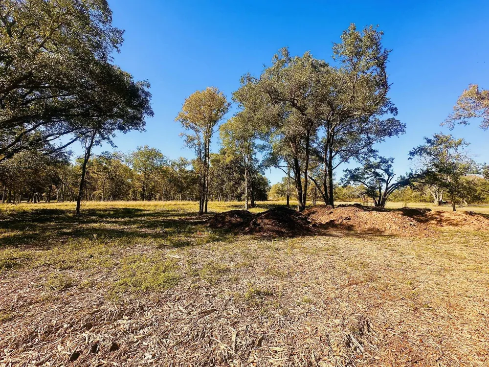 32002 Amberjack Drive Richwood, TX 77515