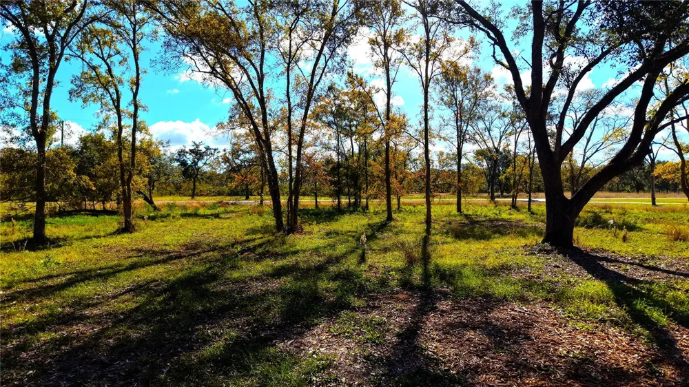 32002 Amberjack Drive Richwood, TX 77515