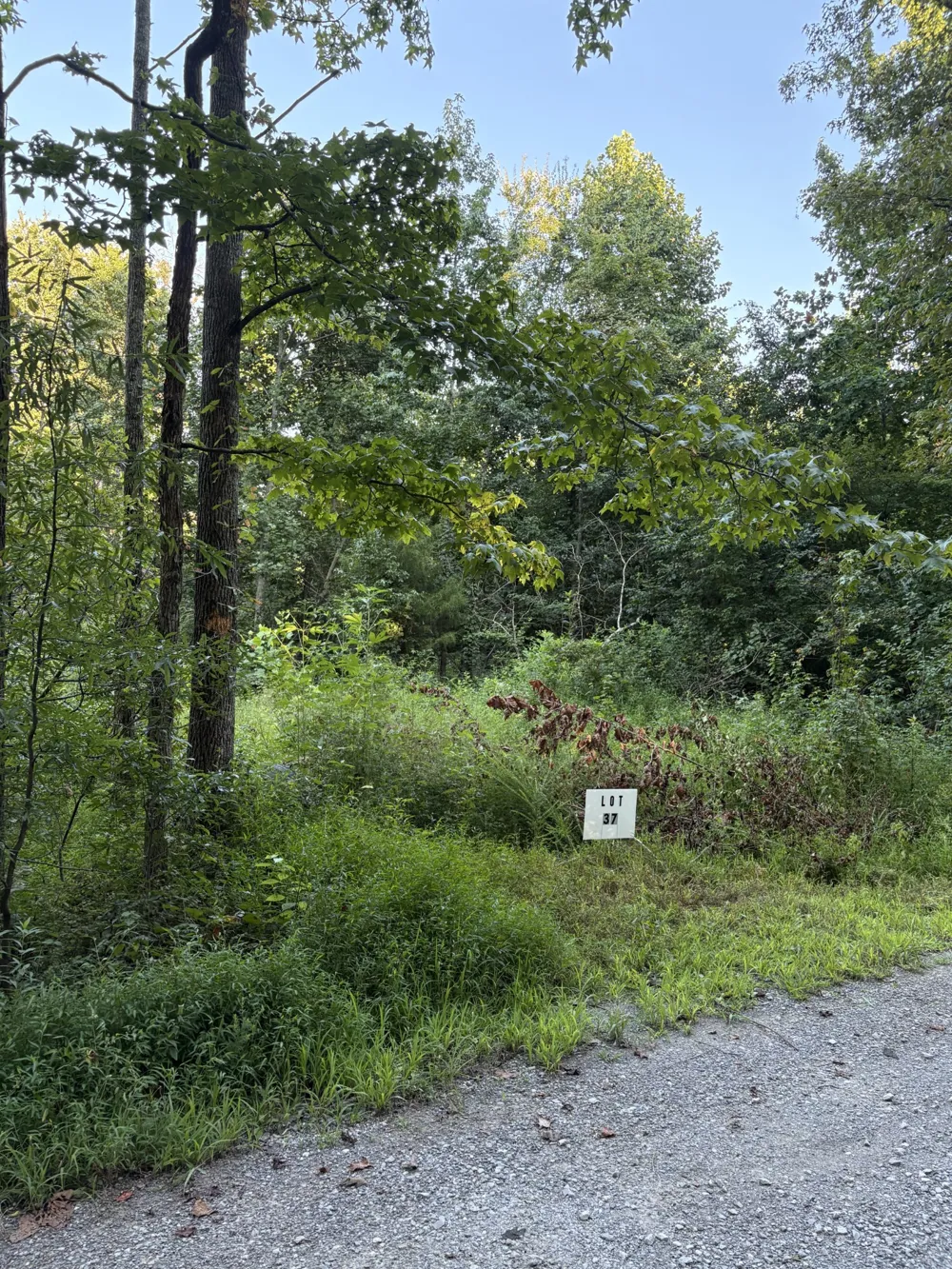 0 Shiloh Rd Beechgrove, TN 37018