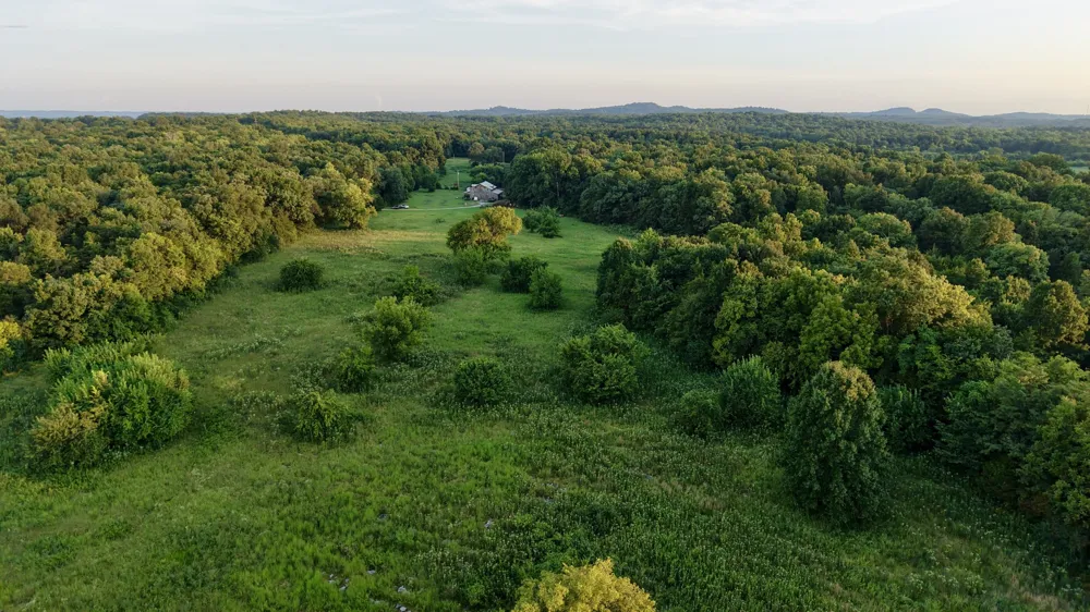 2405 Paul Finley Rd Lewisburg, TN 37091