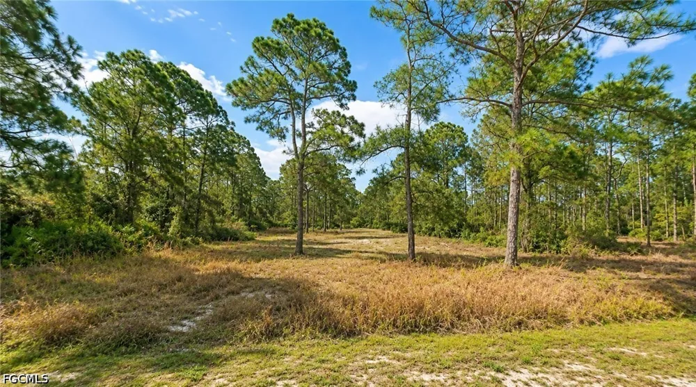 Jefferson Avenue Alva, FL 33920