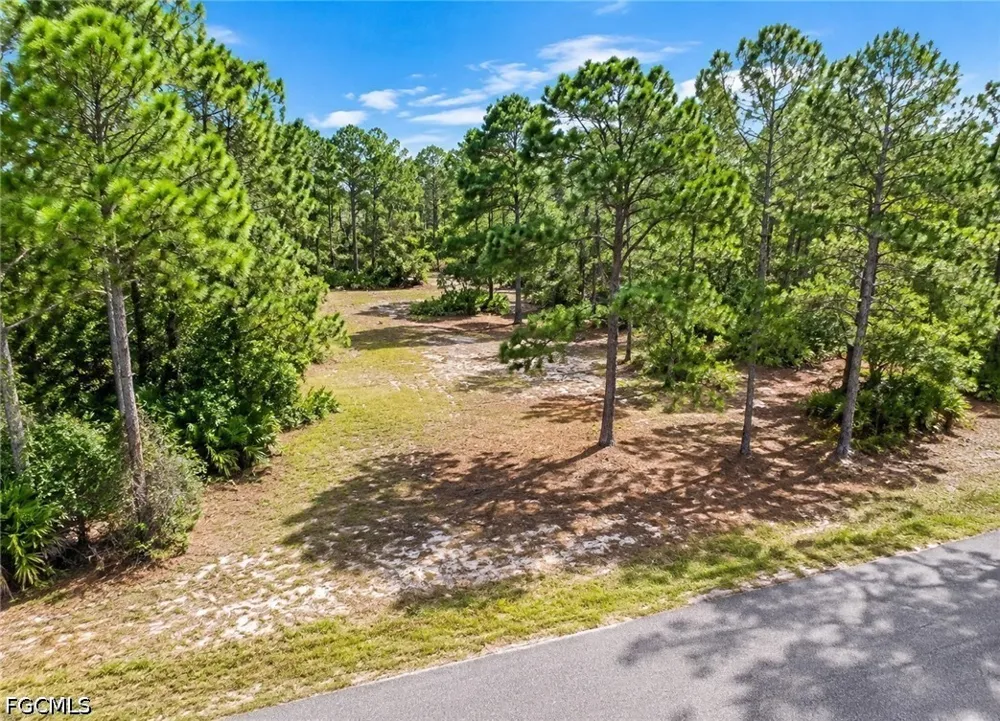 Jefferson Avenue Alva, FL 33920