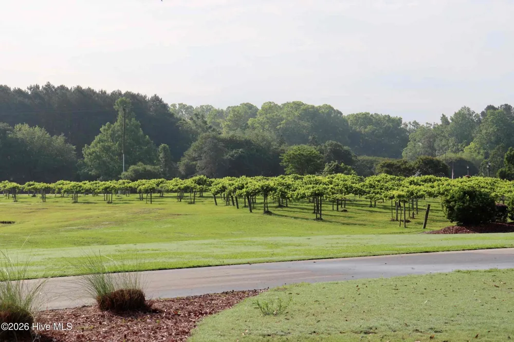 144 Legacy Point Wallace, NC 28466