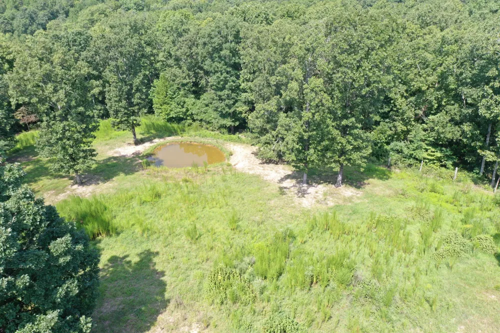 170 Blue Bird Ln Linden, TN 37096