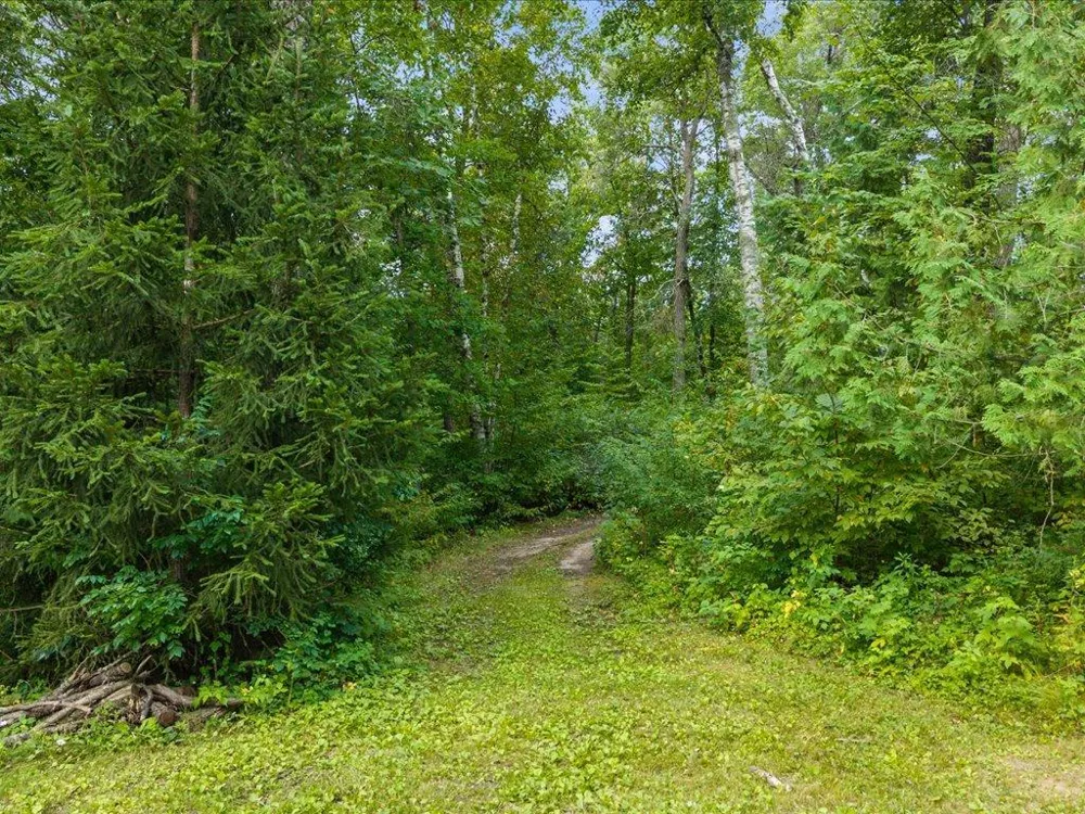 8 Acres Mississippi River Front TBD Bedow Road Fort Ripley, MN 56449