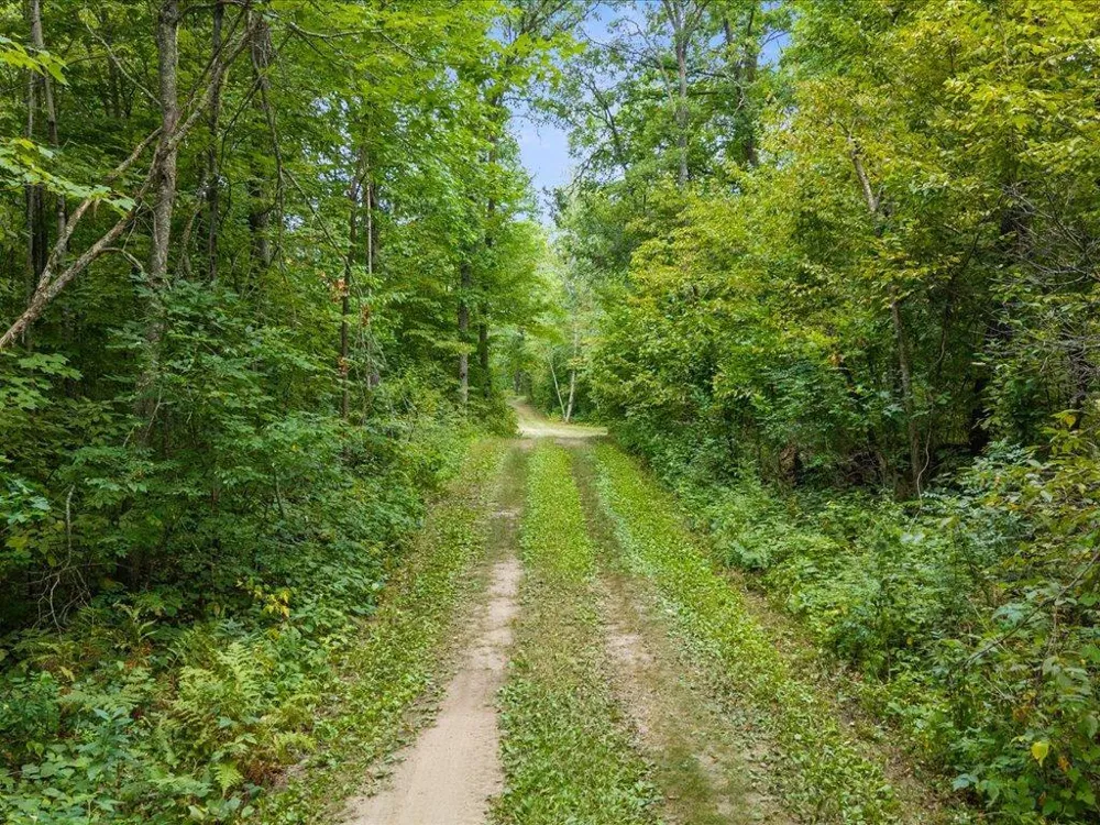 8 Acres Mississippi River Front TBD Bedow Road Fort Ripley, MN 56449