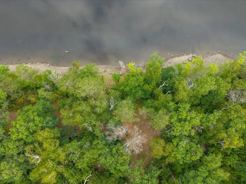 8 Acres Mississippi River Front TBD Bedow Road Fort Ripley, MN 56449