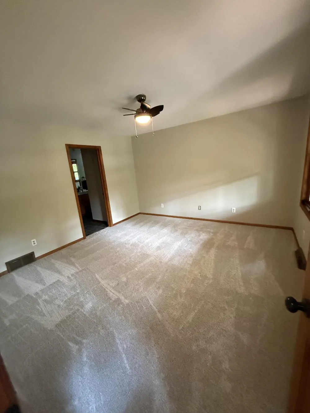 13323 Twin Creek Lane NE Oakfield Township, MI 48838