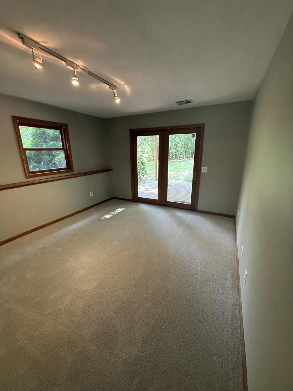 13323 Twin Creek Lane NE Oakfield Township, MI 48838