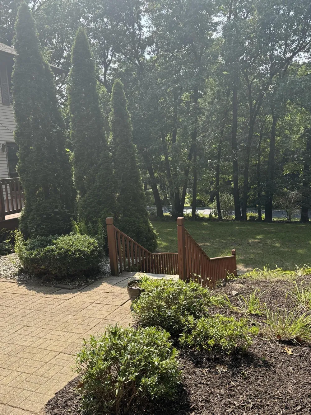 13323 Twin Creek Lane NE Oakfield Township, MI 48838