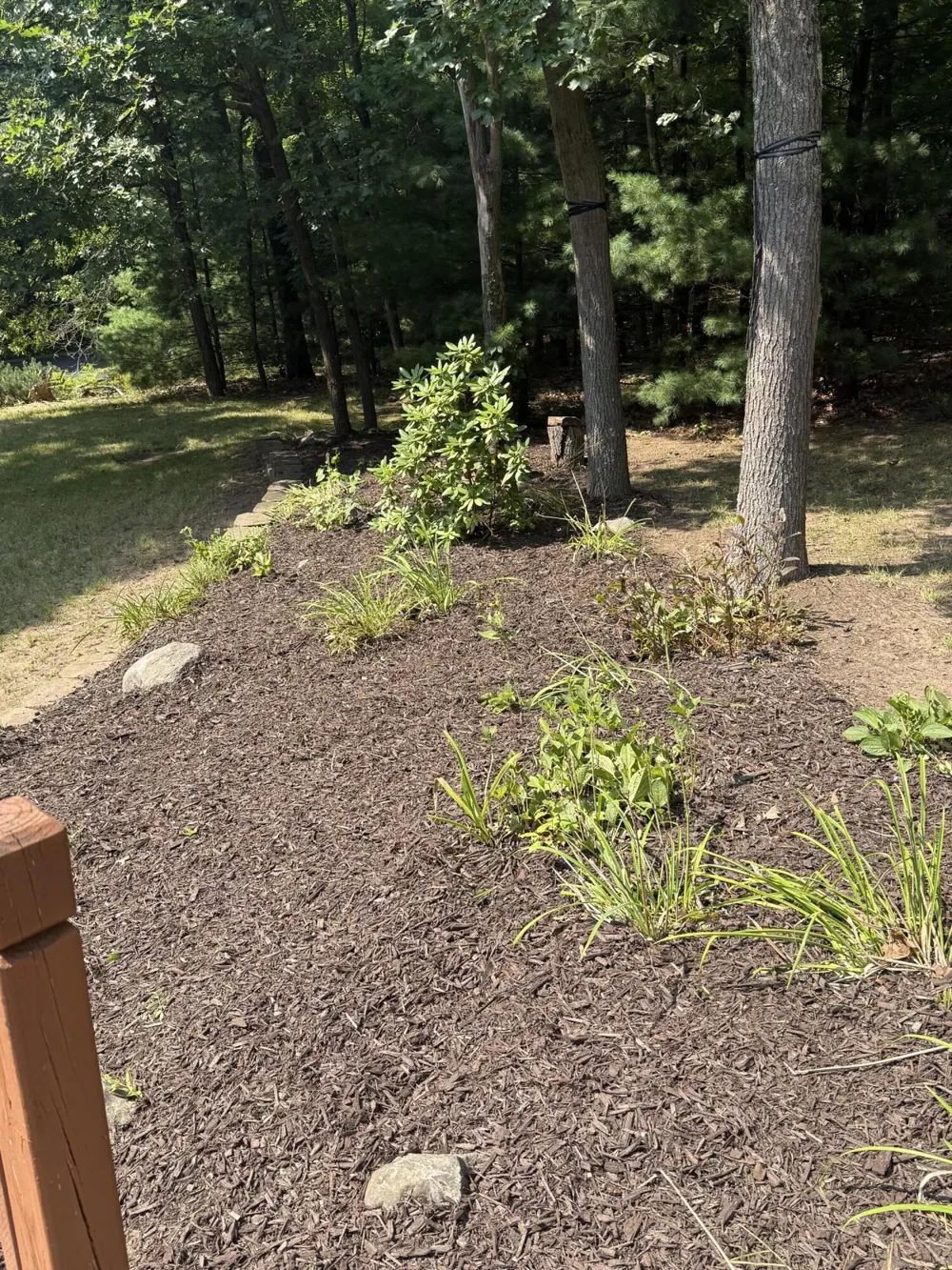13323 Twin Creek Lane NE Oakfield Township, MI 48838
