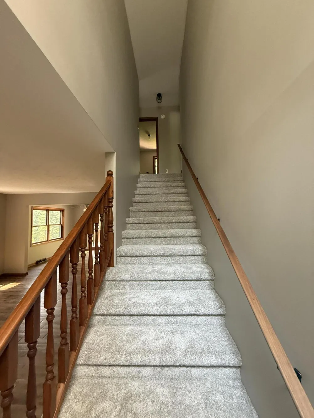 13323 Twin Creek Lane NE Oakfield Township, MI 48838