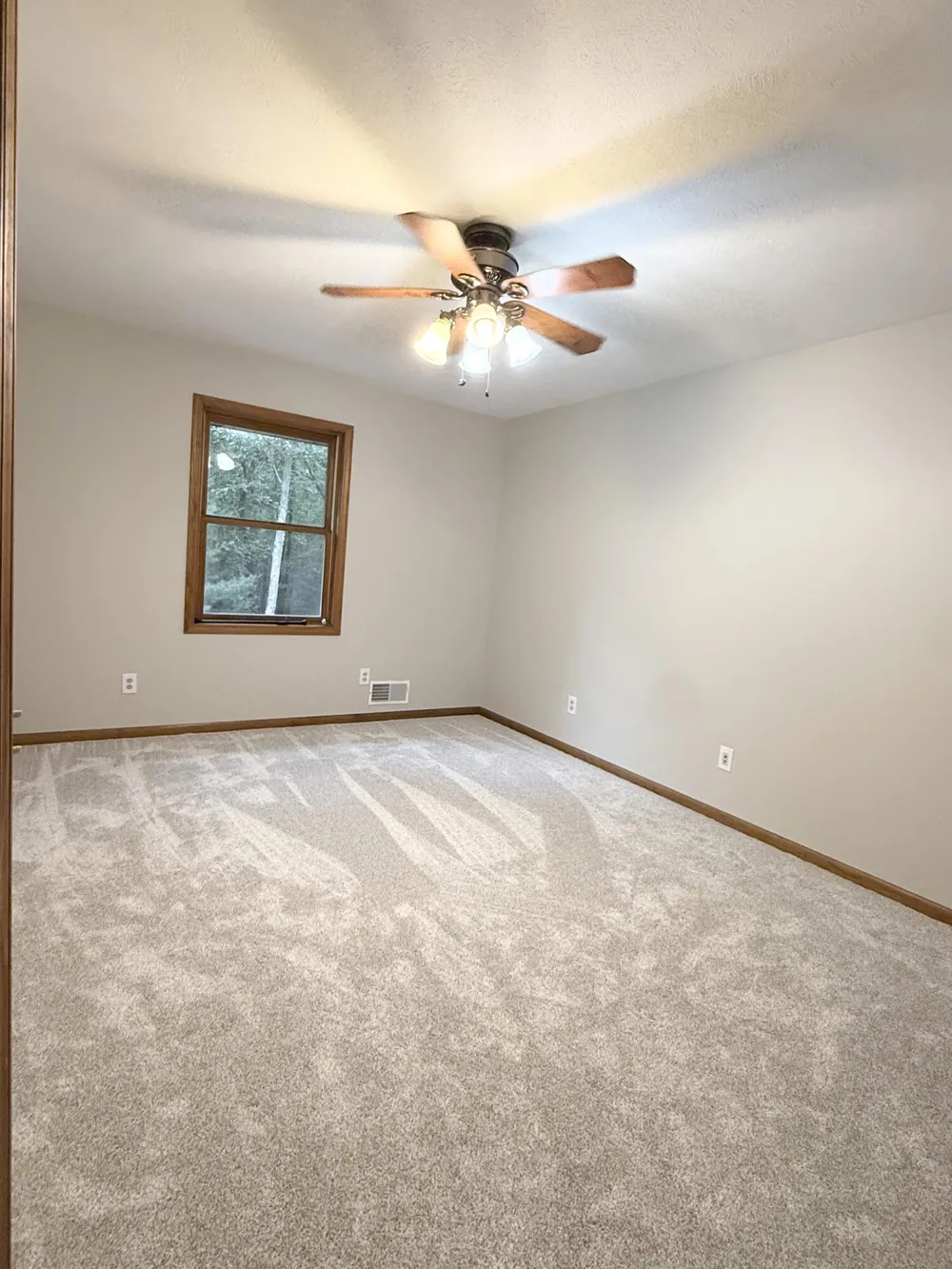 13323 Twin Creek Lane NE Oakfield Township, MI 48838