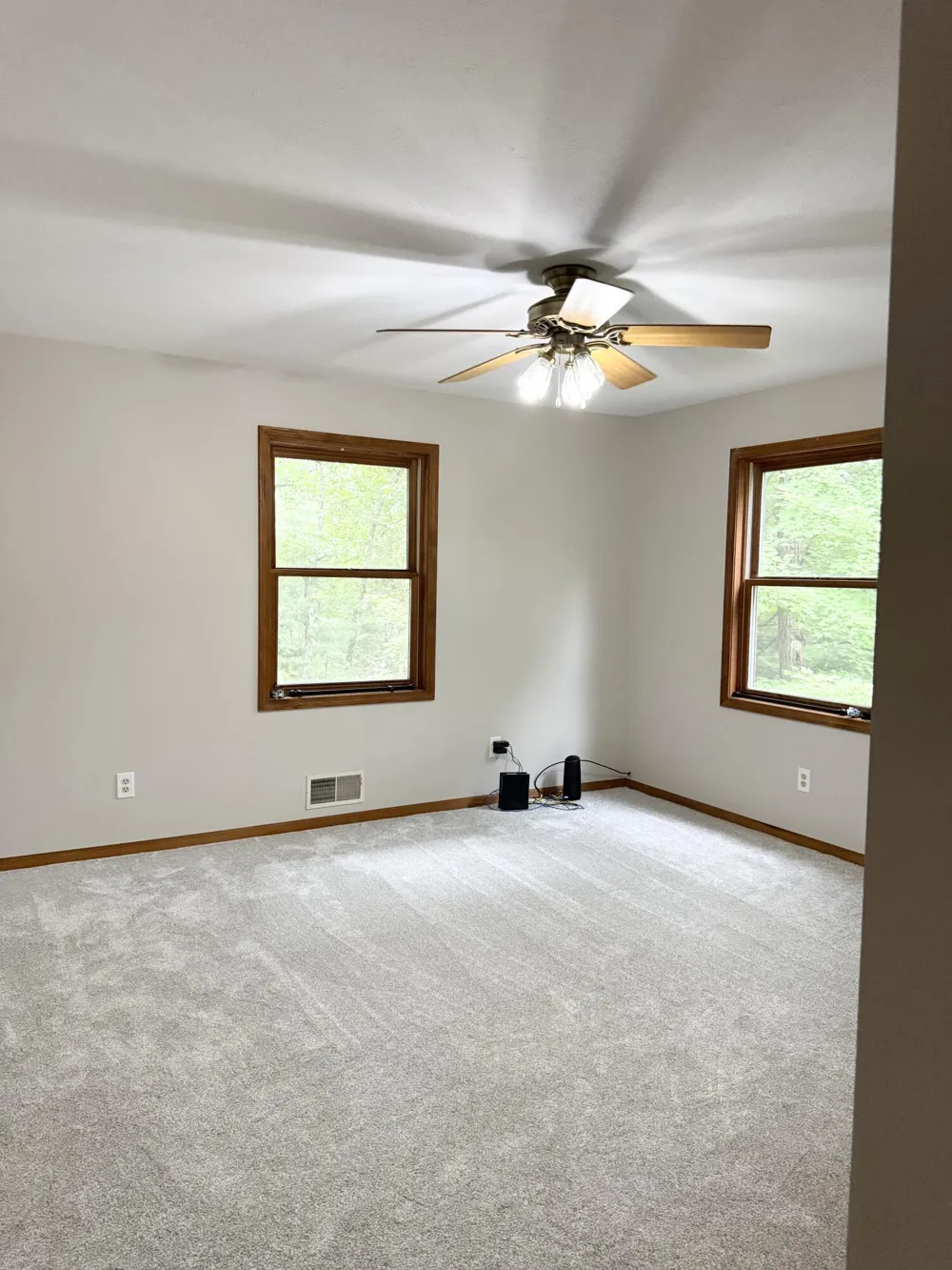 13323 Twin Creek Lane NE Oakfield Township, MI 48838