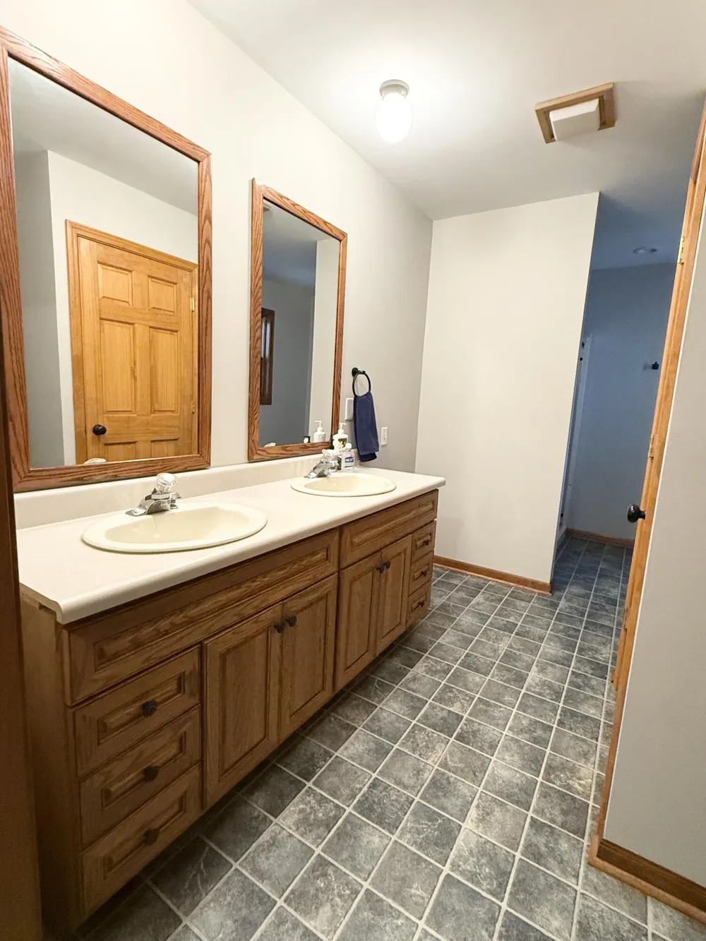 13323 Twin Creek Lane NE Oakfield Township, MI 48838